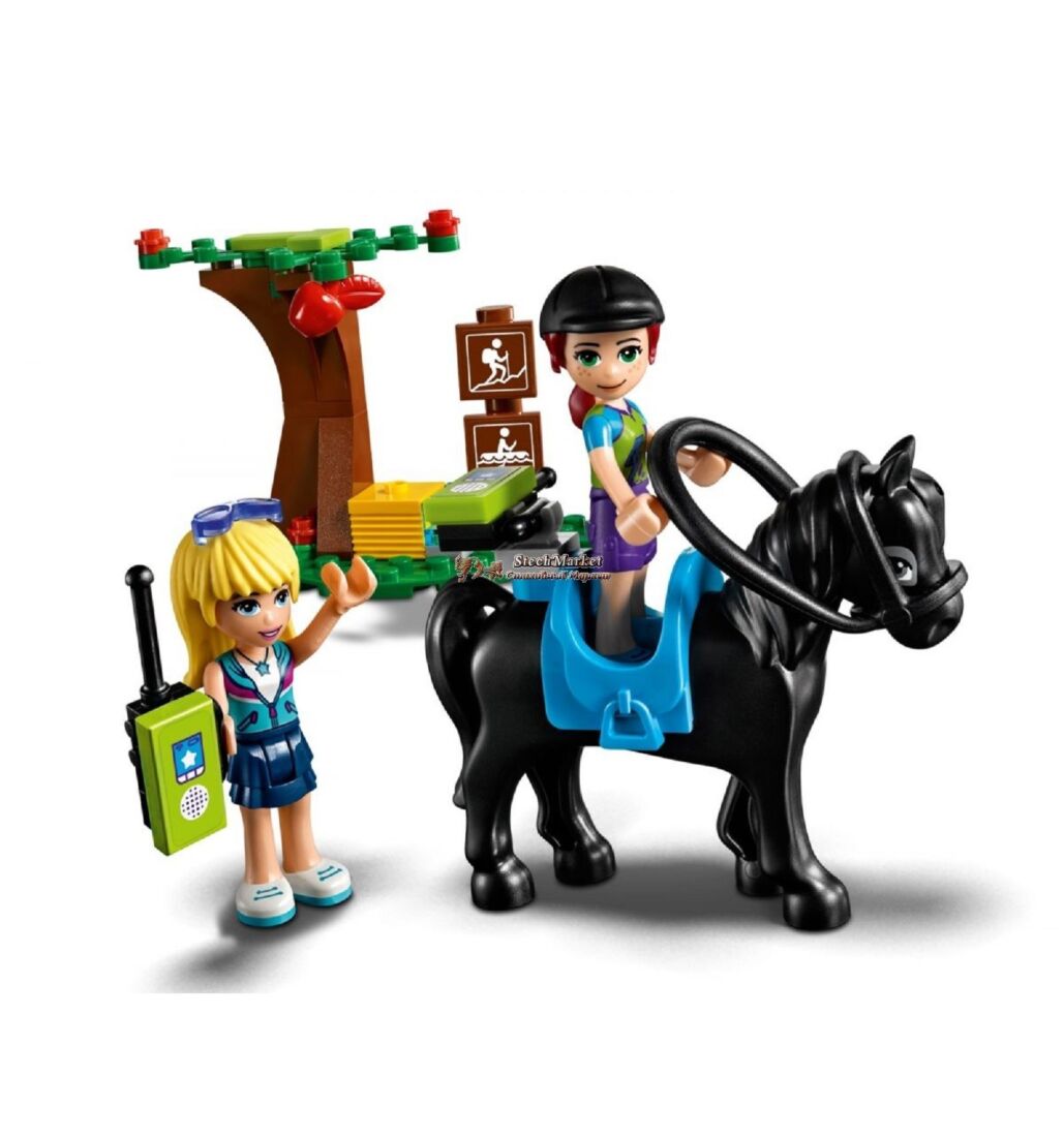 Lego friends online 10858